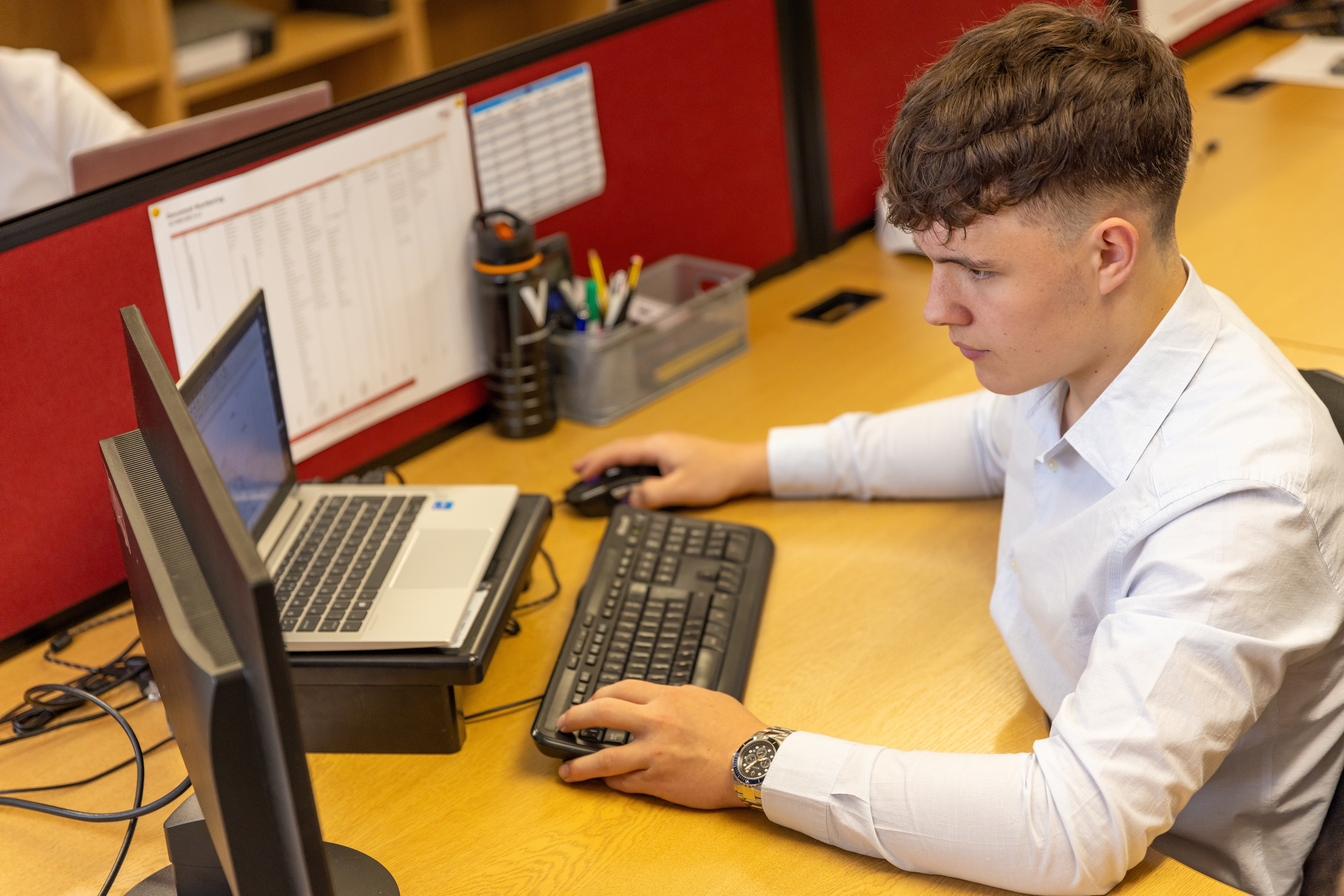 IT Professional
