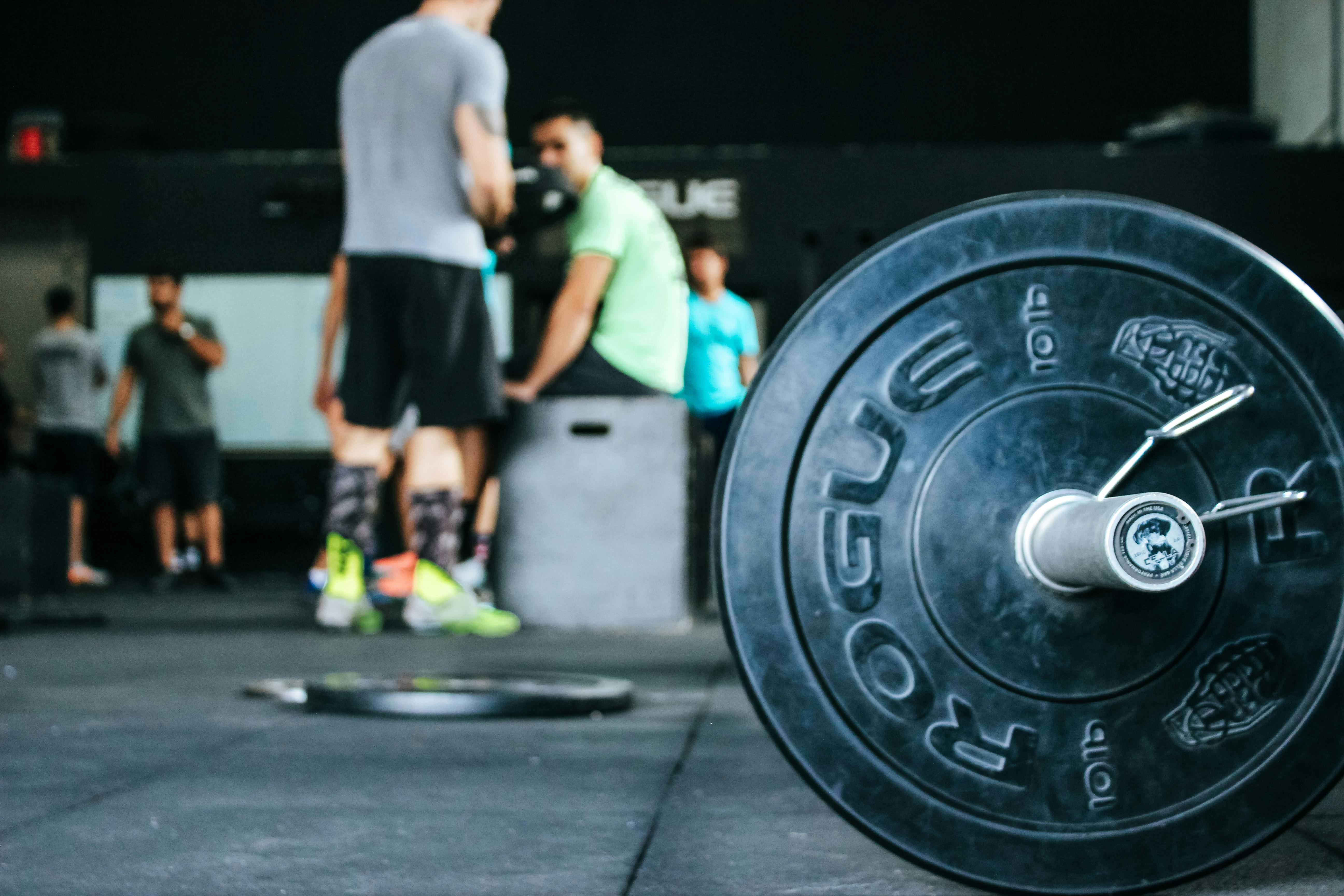 Fitness Center IT Professional